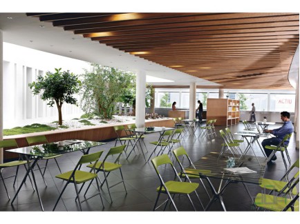 Scaun Bucatarie-Cafeteria PLEK #AboutOfficeFurniture