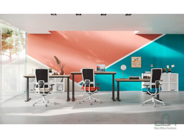 Scaun ergonomic managerial TNK FLEX #AboutOfficeFurniture